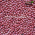 2014 Jilin Four Red Skin Peanut Kernel